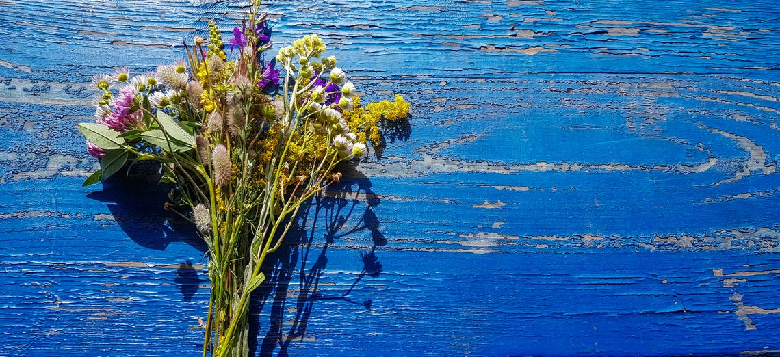 Harvesting, Drying, and Preserving Medicinal Plants: Essential Tips for Quality Raw Materials"