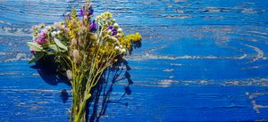 Harvesting, Drying, and Preserving Medicinal Plants: Essential Tips for Quality Raw Materials"